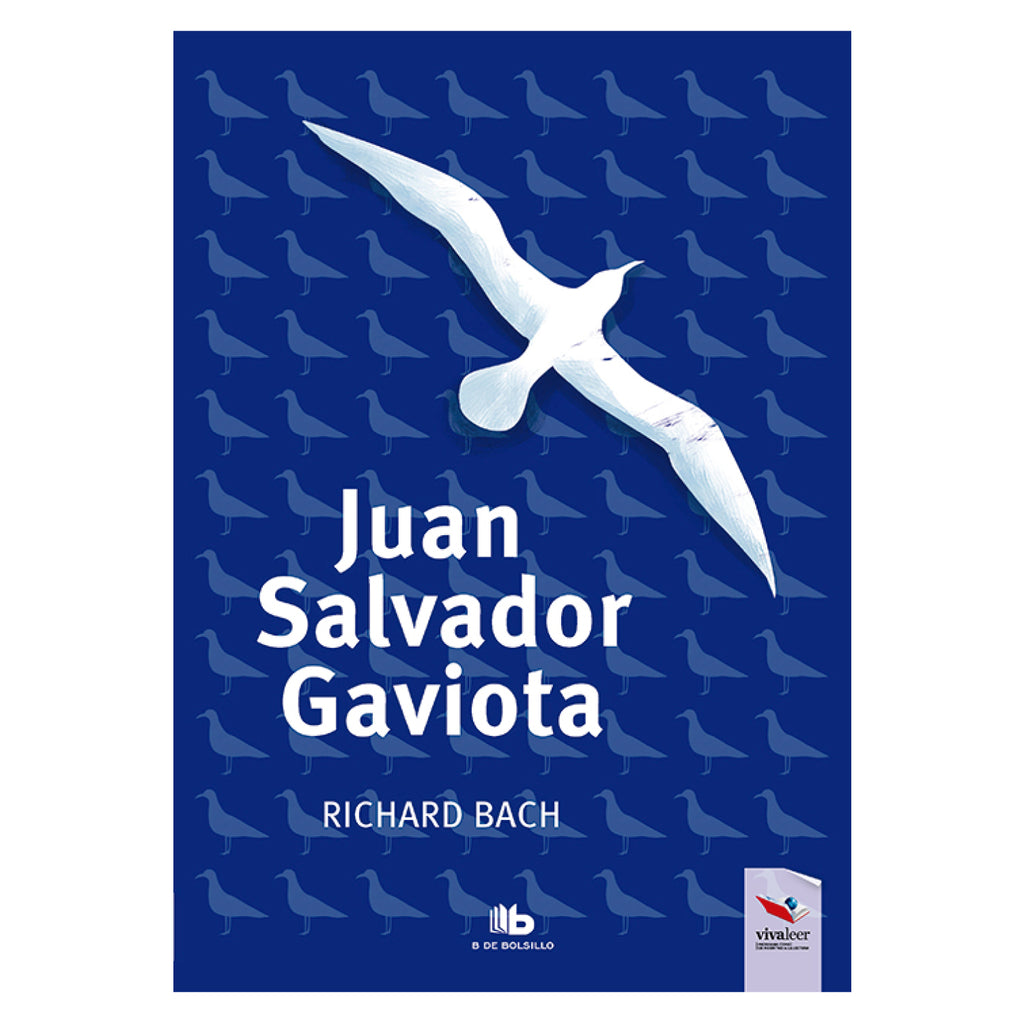 Juan Salvador Gaviota