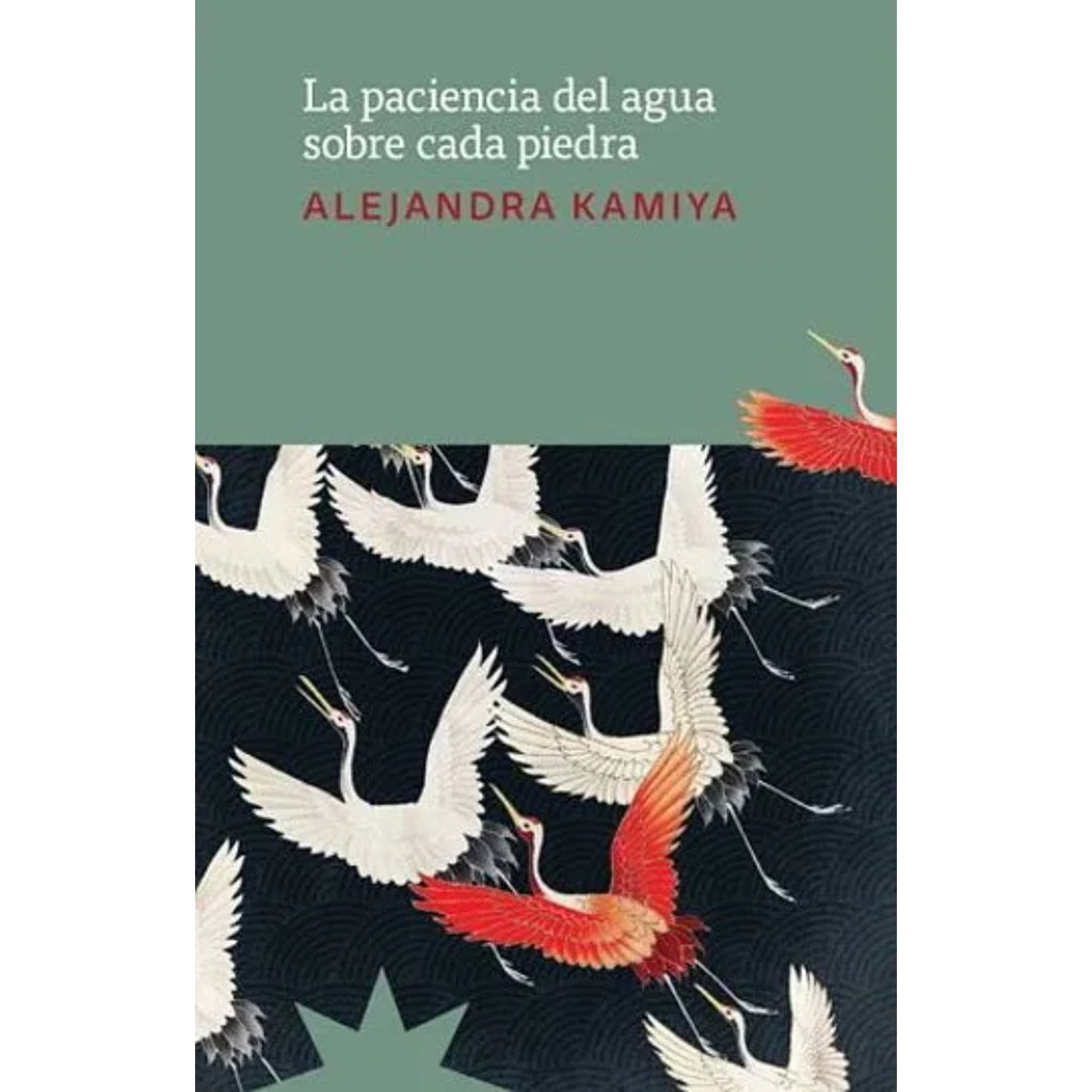 La Paciencia Del Agua Sobre Cada Piedra