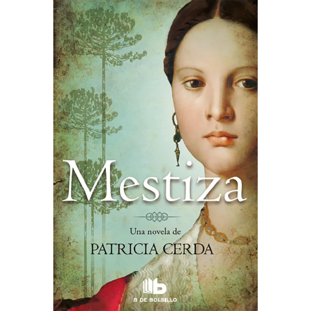 Libro Mestiza