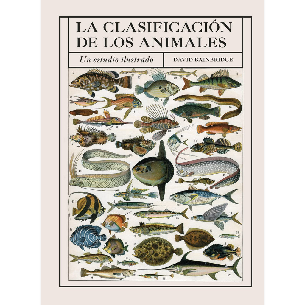 La Clasificación De Los Animales