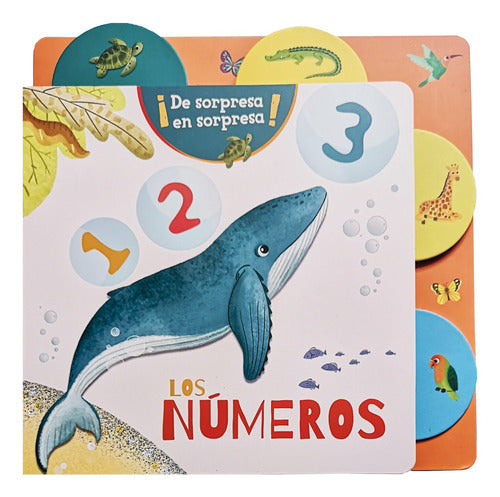 Los Numeros, De Sorpresa En Sorpresa