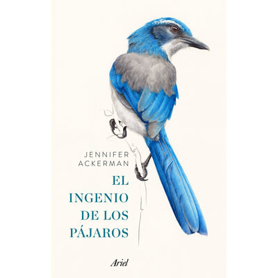 El Ingenio De Los Pájaros