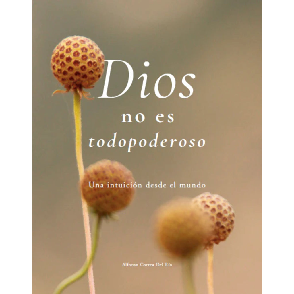 Dios No Es Todopoderoso: Una Intuición Desde El Mundo