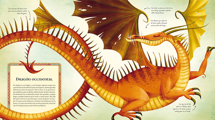 Gran Libro De Dragones