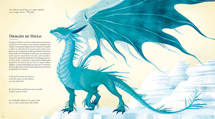 Gran Libro De Dragones