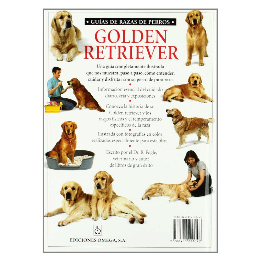 Golden Retrevier