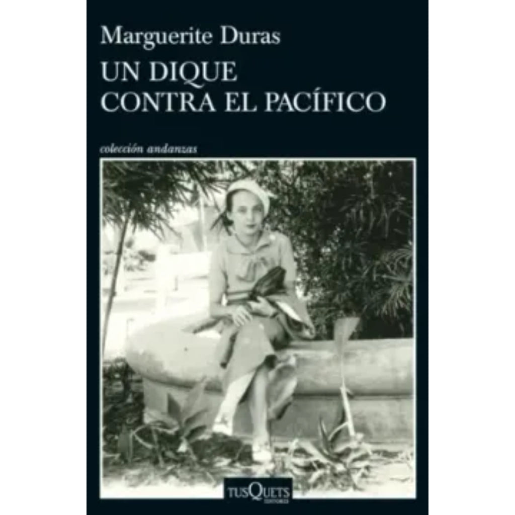 Un Dique Contra El Pacífico