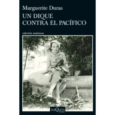 Un Dique Contra El Pacífico