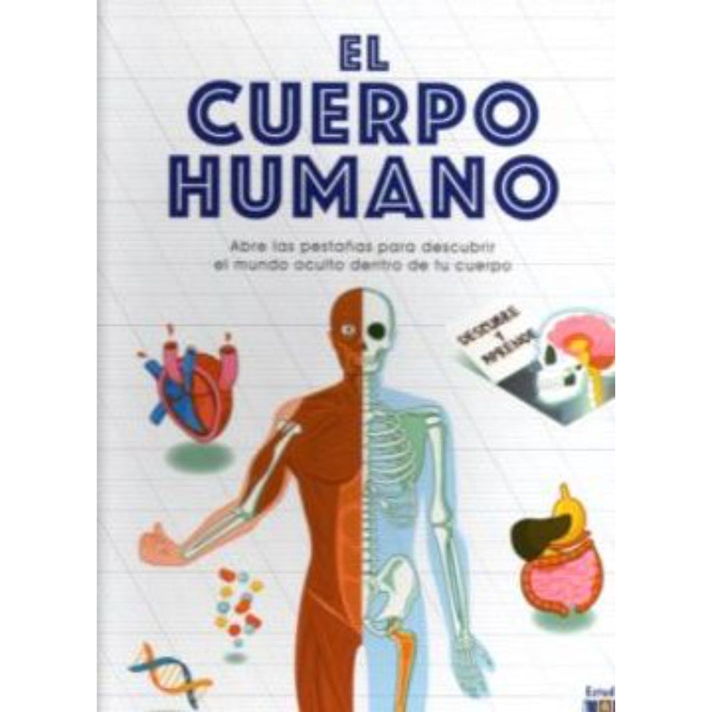 El Cuerpo Humano -Descubre Y Aprende