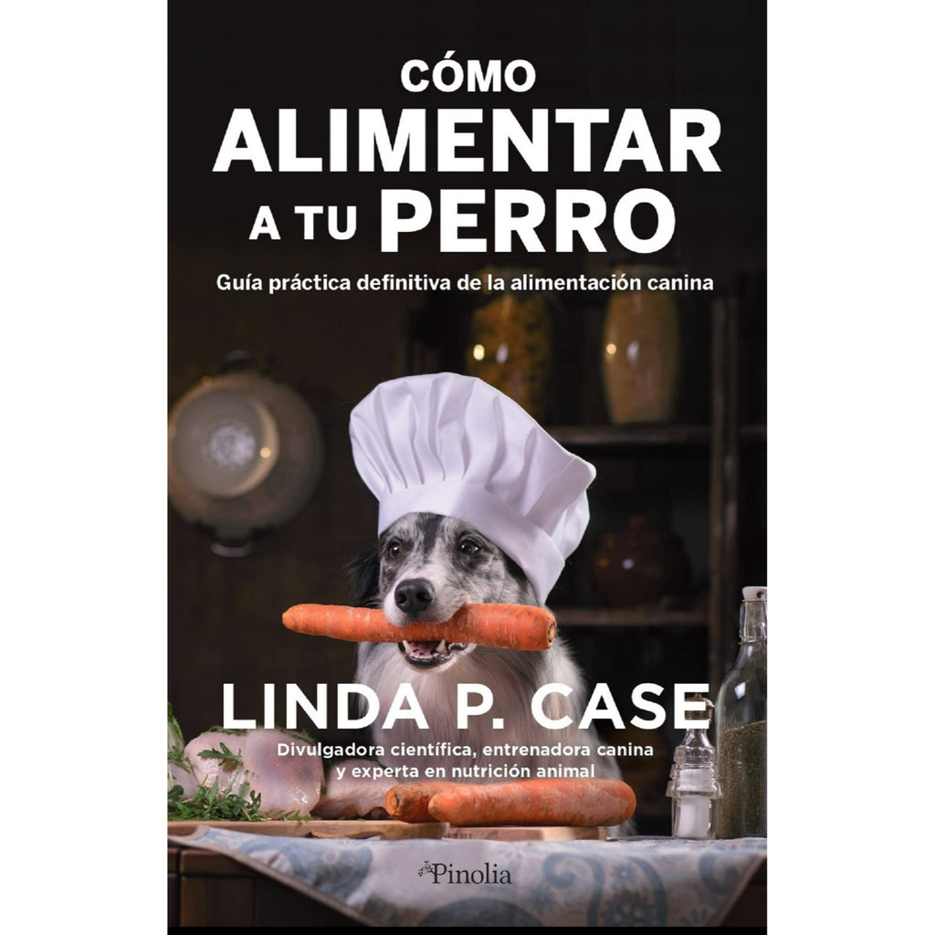 Cómo Alimentar A Tu Perro