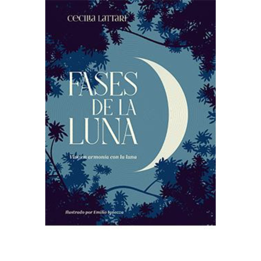 Fases De La Luna