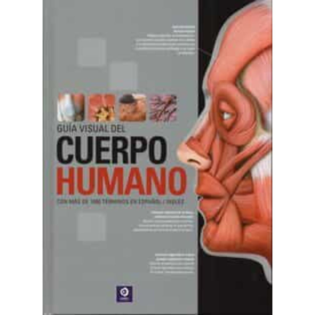 Guia Visual Del Cuerpo Humano