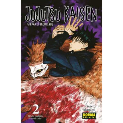 Jujutsu Kaisen 02