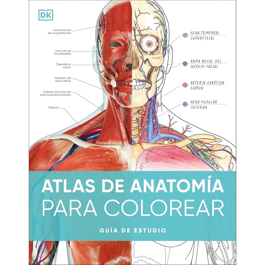 Atlas De Anatomia Para Colorear