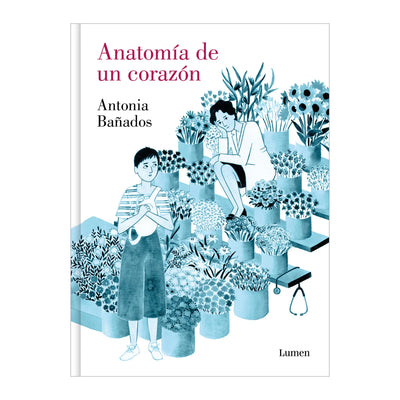 Anatomia De Un Corazon