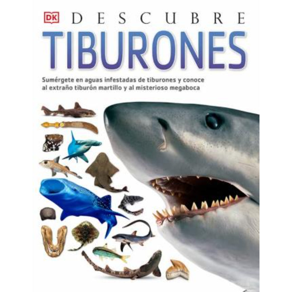 Descubre los tiburones