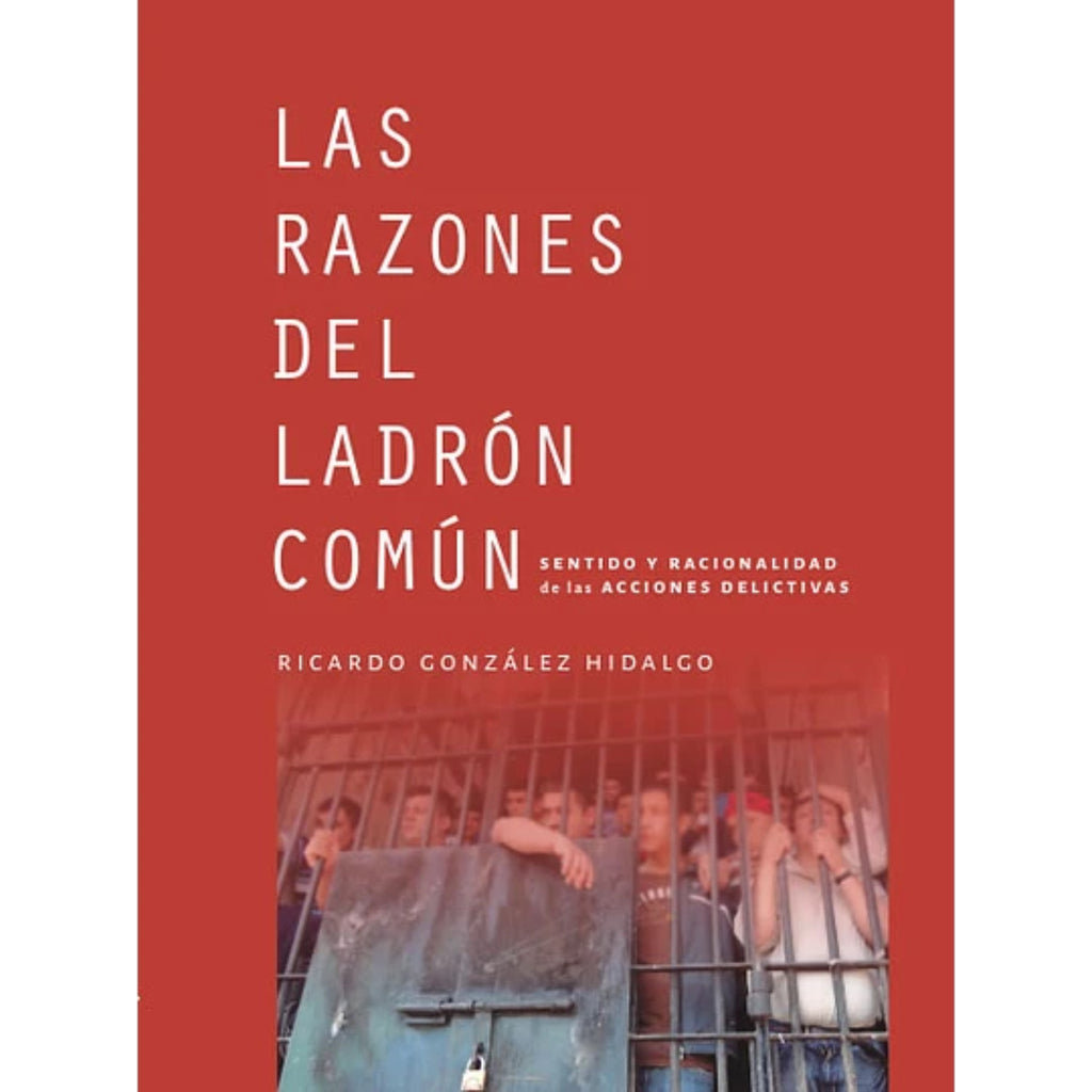 Las Razones Del Ladrón Común: Sentido Y Racionalidad De Las Acciones Delictivas