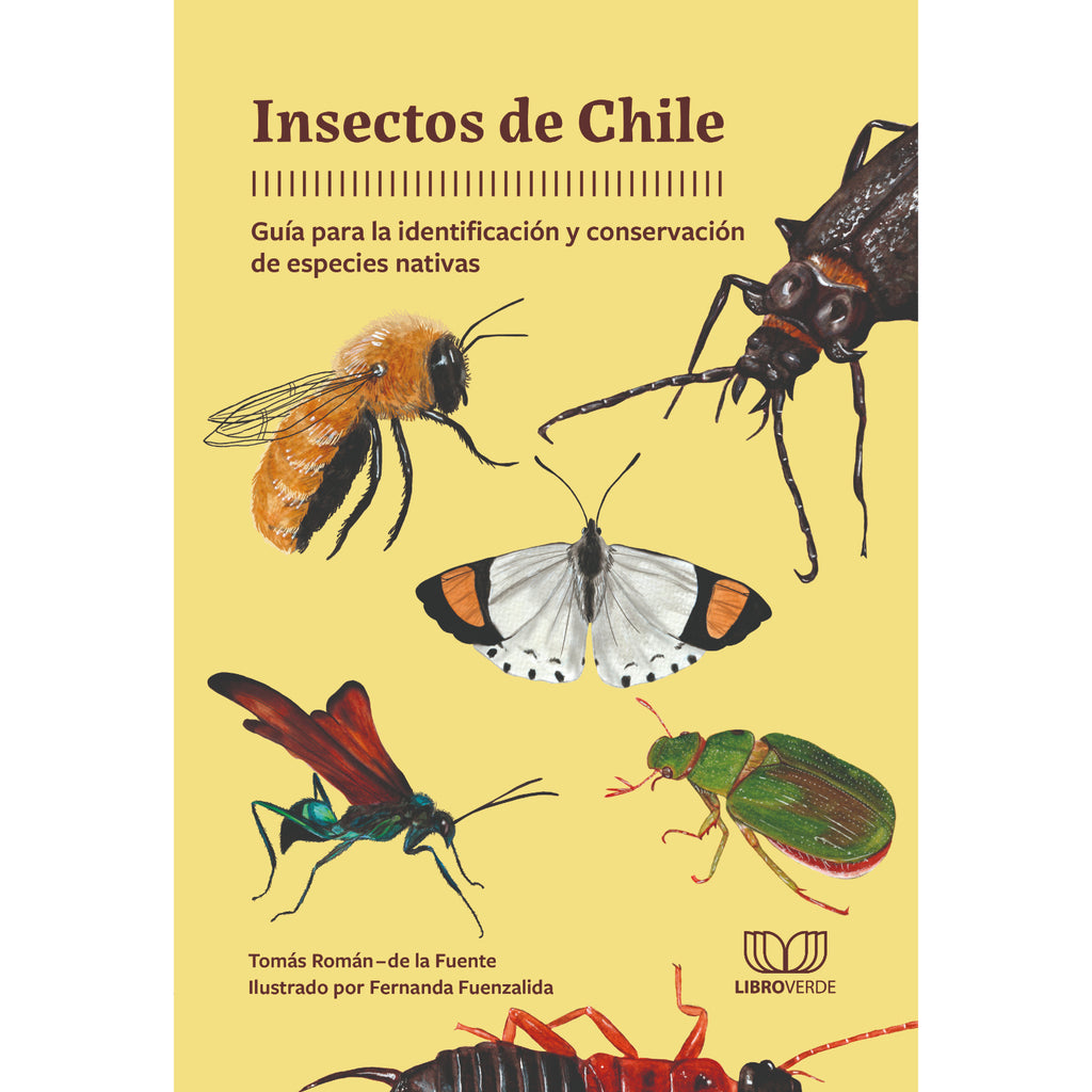 Insectos De Chile
