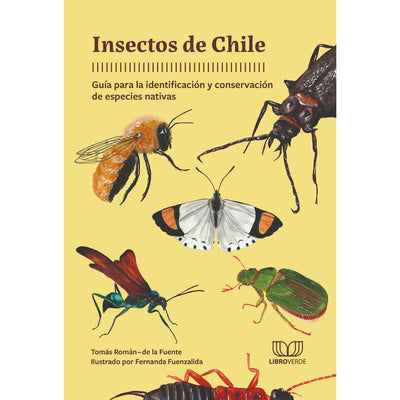 Insectos De Chile