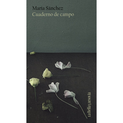 Cuaderno De Campo