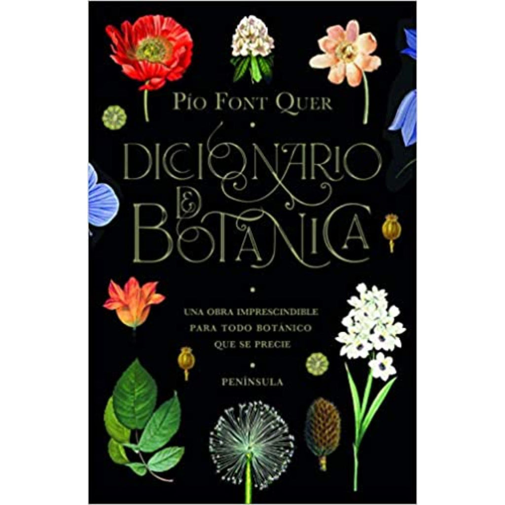 Diccionario De Botanica