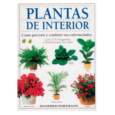 Plantas De Interior