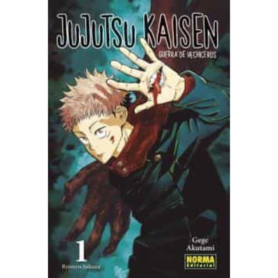 Jujutsu Kaisen 01 (Ed. Regular)